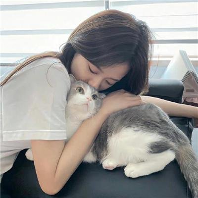 龙的牙医